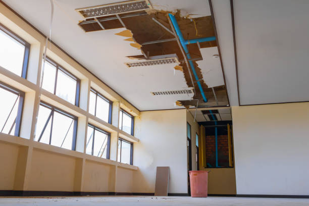 Best Flood damage cleanup  in Douglass, KS