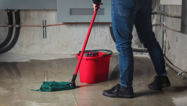 Best 24/7 water damage repair  in Douglass, KS