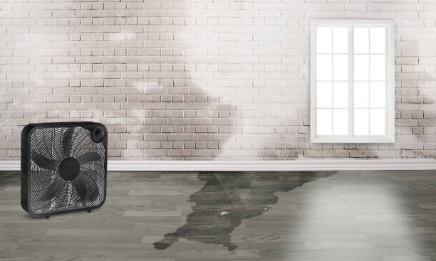 Best Water damage restoration near me  in Douglass, KS