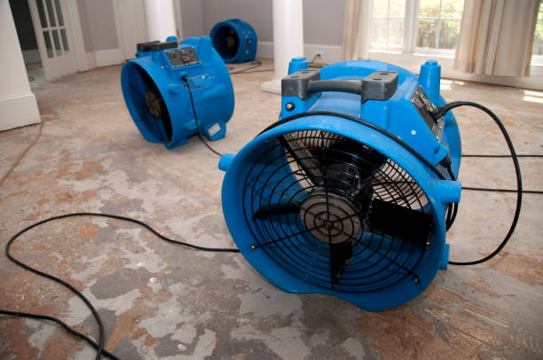 Carpet water damage restoration in KS
