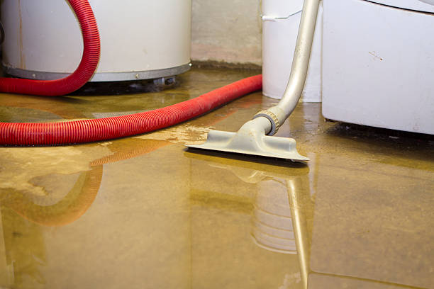 Best Ceiling water damage repair  in Douglass, KS